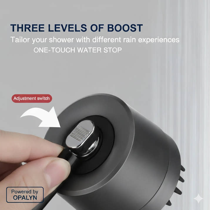 Spa-Like Filter Shower Head™