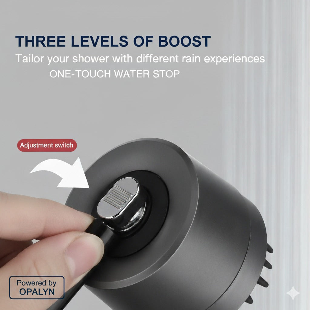 Spa-Like Filter Shower Head™